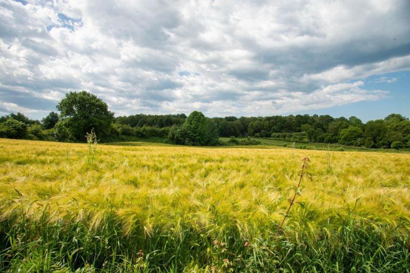 Vakantie Zuid Limburg ซิมเปลเวลด์ ภายนอก รูปภาพ